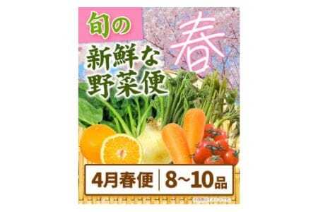 ＜先行予約＞旬の新鮮な 野菜便 4月春便 8～10品 野菜
