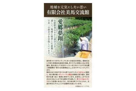 【先行予約】激辛薬味みまから みまから 5個 
