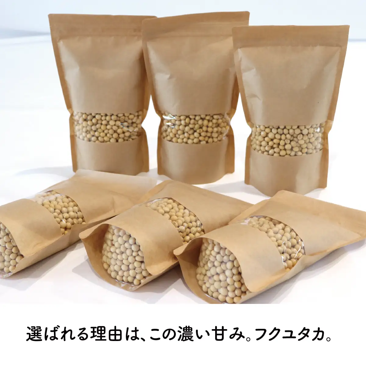 【３ヶ月定期便】大豆（フクユタカ） 3kg（500ｇ×6袋） 2025/9/19～