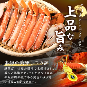 かに 訳あり 茹で 1kg以上 2～3杯 ボイル 魚介 越前 かに