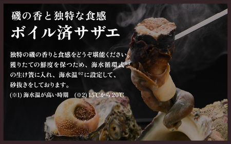 若狭素潜り天然 サザエ (ボイル済) と 越前甘えび卵あり大サイズ【冷凍 ボイル サザエ 甘えび 若狭湾 さざえ 】[m17-a064]