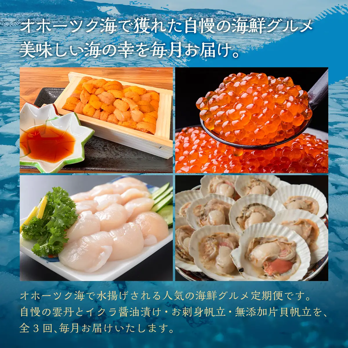 【毎月定期便】網走厳選の海鮮グルメ定期便(バフン雲丹とイクラ醤油漬け・刺身帆立・片貝ホタテ)全3回 ABAO093