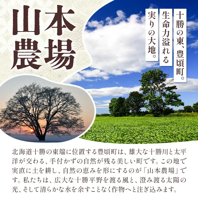 十勝とよころの小豆 きたほたる小豆 白小豆 3.2kg 山本農場《30日以内に出荷予定(土日祝除く)》
