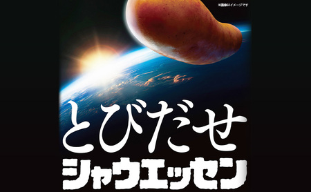 シャウエッセン 1袋(標準5本入)×12パック 計1.404kg 日本ハム