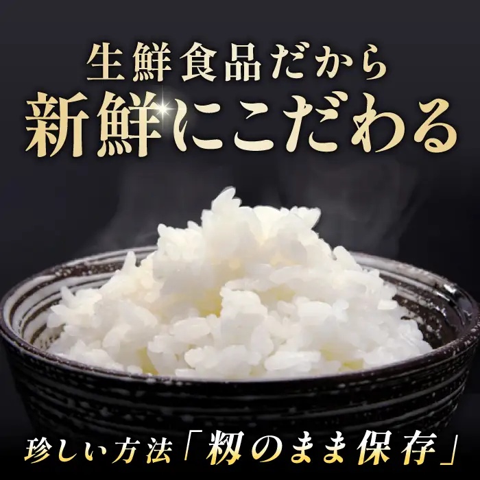 出雲國仁多米5kg【仁多米 コシヒカリ こしひかり 5kg ブランド米 お米 米 精米 白米 人気 令和7年度産 2025年度産】