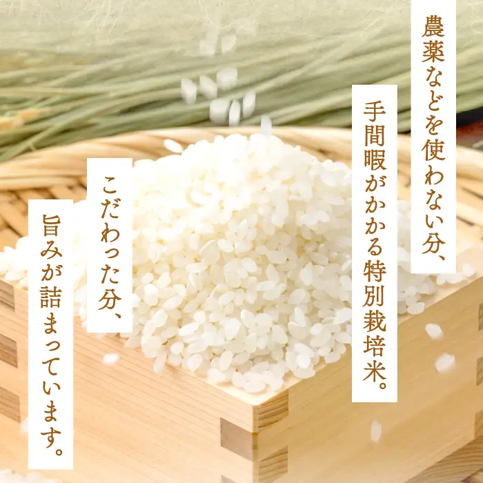 出雲國特別栽培米仁多米4kg【仁多米 特別栽培米 コシヒカリ こしひかり 2kg×2袋 合計4kg 小分け 便利 ブランド米 お米 米 精米 白米 人気 こだわり  ギフト 贈り物 令和7年産 2025年産】