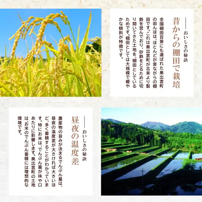 出雲國特別栽培米仁多米8kg 【仁多米 特別栽培米 コシヒカリ こしひかり 2kg×4袋 合計8kg 小分け 便利 ブランド米 お米 米 精米 白米 人気 こだわり ギフト 贈り物 令和7年産 2025年産】