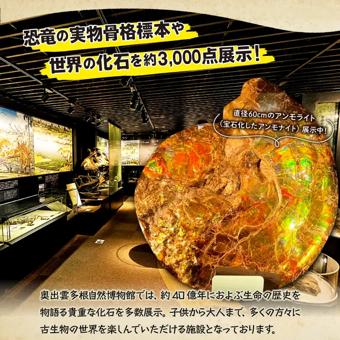 泊まれる博物館｢1泊朝食付き宿泊券｣1名様【宿泊券 宿泊 旅行券 温泉 観光 旅行 旅 1食付き 朝食付き 1名様 恐竜 博物館 天然温泉 入浴券 温泉 トラベル 体験 チケット 島根県 奥出雲町】