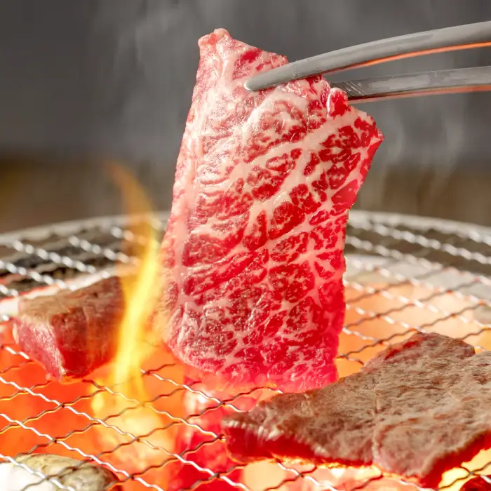 【冷蔵配送】全国大会W受賞！奥出雲和牛肩ロース焼肉の定期便800g×12回 （毎月21日お届け）【牛肉 定期便 肩ロース焼肉 800g 12回 焼肉 人気 冷蔵 国産 奥出雲和牛 黒毛和牛 ブランド牛 贅沢 お祝い 贈り物 プレゼント ギフト】