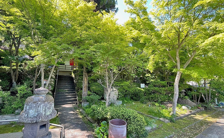 体験チケット 森の小さな「禅」体験坐禅 お茶席 写経 鍼灸 安禅寺 体験チケット