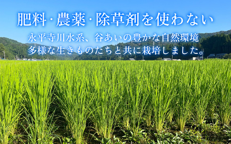 【先行予約】令和７年産 新米 自然栽培米 永平寺町産 コシヒカリ 玄米 10kg 11月上旬順次配送予定 無農薬 化学肥料 除草剤 不使用 福井県 永平寺 