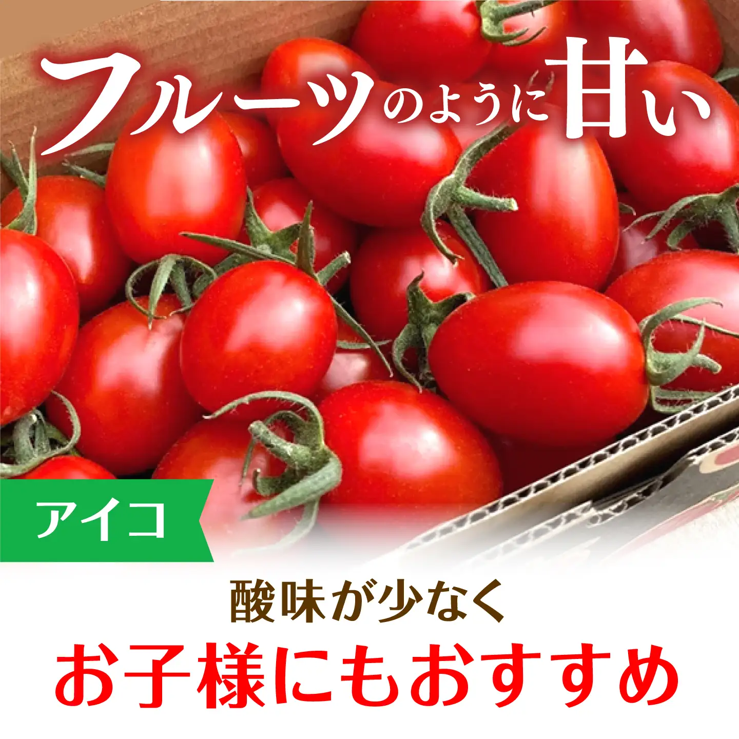 先行予約 ミニトマト 2種セット 総計4.5kg [QBG004]