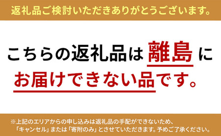 夏に食べたい！冷やしておいしいサマーシュトレン 瑞穂市 お取り寄せ グルメ スイーツ　※2026年6月～発送