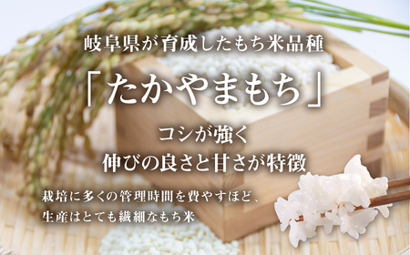 令和8年産 もち米 6kg たかやまもち米 米 もち米 こめ ごはん 白米 岐阜県産 本巣市 お米 精米 おにぎり 弁当 やわらかい もちもち 餅 旨味 甘い 和食 寿司 アグリード [mt556] 2026年 10月～発送 先行予約
