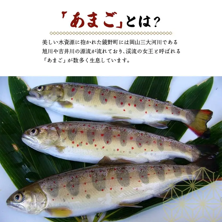 冷凍あまご10尾セット（串付き） [016-a004]
