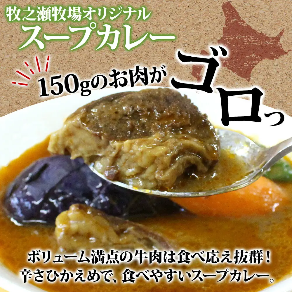 ビーフ スープカレー 300g 2箱 カレー ビーフカレー スープ 牛 牛肉 放牧牛 牧場 レトルトカレー レトルト食品 レトルト 湯煎 レンジ 牧之瀬牧場 送料無料 北海道 弟子屈町 3021