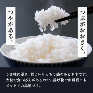 【令和8年産 新米】＜先行予約受付中！R8年9月下旬から順次発送予定＞つきあかり 10kg お米 おこめ 米 コメ 白米 ご飯 ごはん おにぎり お弁当【赤間農業開発株式会社】ta460