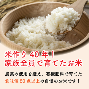 お米 コシヒカリ 5kg 令和8年産 【 米 】