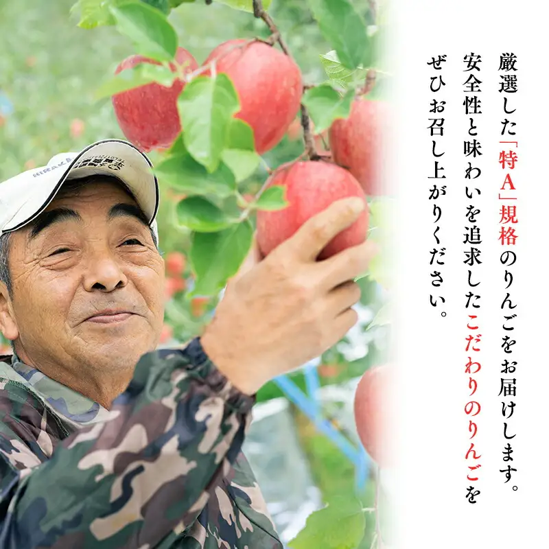 年明け 贈答用 金星 約3kg 青森県平川市産[hi-0004-005]