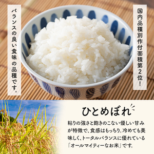【令和8年産 新米】＜先行予約受付中！R8年9月下旬から順次発送予定＞ ひとめぼれ 10kg お米 おこめ 米 コメ 白米 ご飯 ごはん おにぎり お弁当【赤間農業開発株式会社】ta461