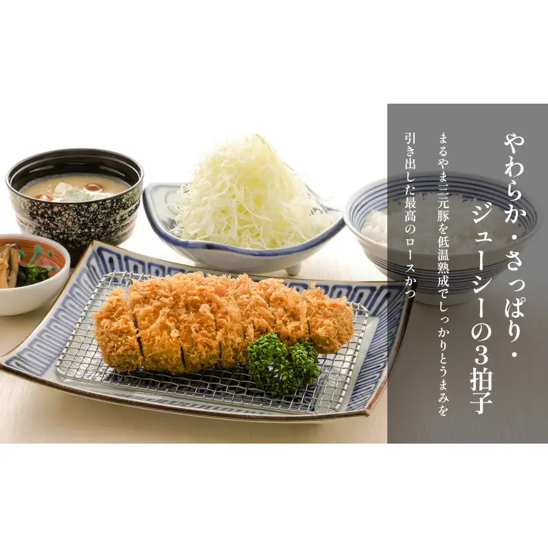 ロースかつとヒレかつ合盛セット【3～4人前】