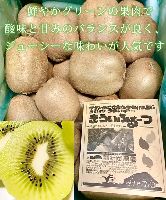 紀州かつらぎ山のキウイフルーツ約3kg［2027年1月下旬以降発送予定］［UT29］