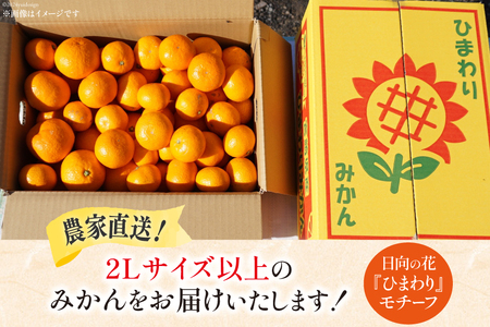 【期間限定発送】 みかん 2L サイズ以上 石地みかん 5kg