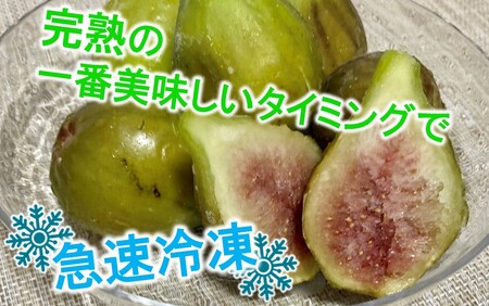 鮮度そのまま! 冷凍完熟いちじく / バナーネ(白いちじく)1.5kg_2287R