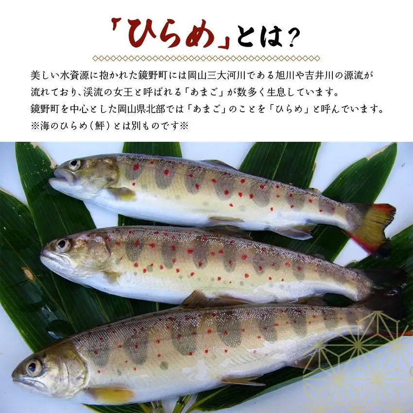 ひらめまるごとセット（あまごの塩焼き・甘露煮　計10尾）[016-a003]