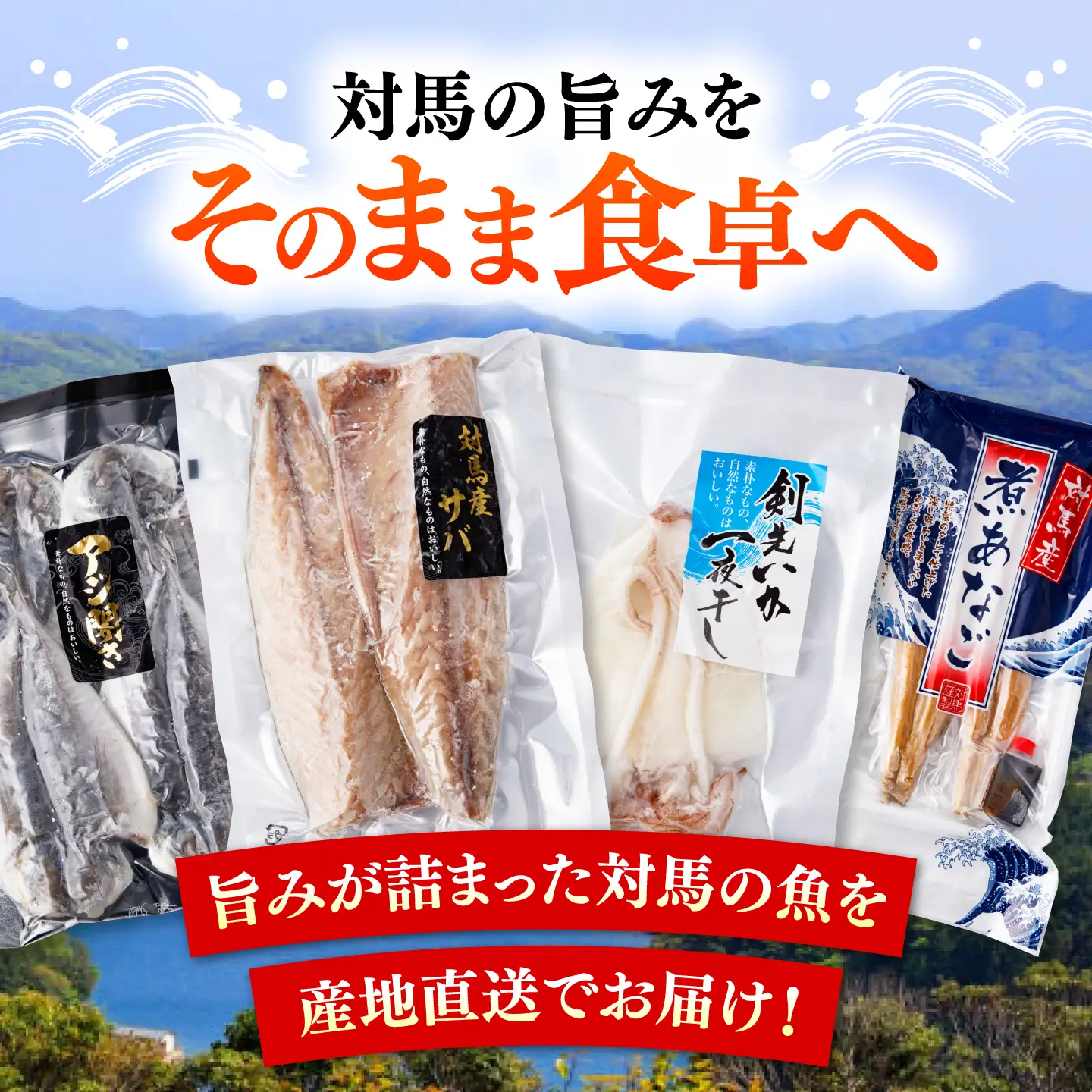 【全2回定期便】対馬 海の幸 干物 セット 海鮮 [WAC055]
