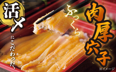 【全2回定期便】対馬 煮あなご膳 刺身 セット アナゴ  [WAC058]