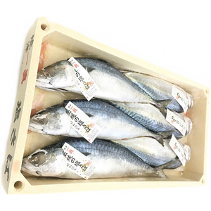 伝統の塩さば (a17-090)
