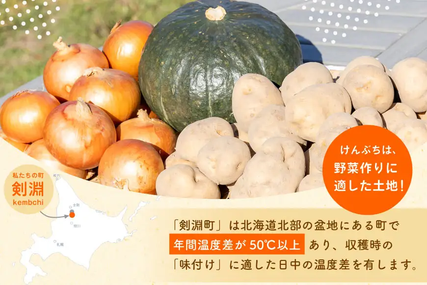 野菜 けんぶち産農産物セット 3種 計10kg