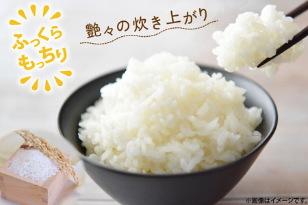 令和6年 米 ゆめぴりか 5kg