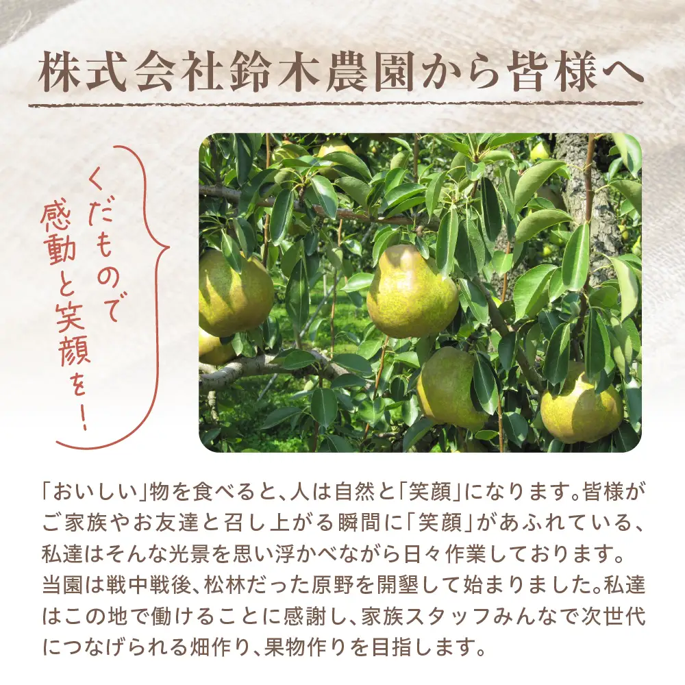 2026年産 ラ・フランス 家庭用 訳あり 3kg ラフランス