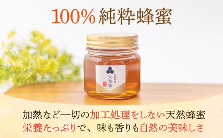 【長崎県産】大和蜜（天然はちみつ）280g×3本 長与町/蜜ロマン養蜂園[ECE005]  百花蜜 国産 純粋蜂蜜 日本みつばち 大和蜂蜜
