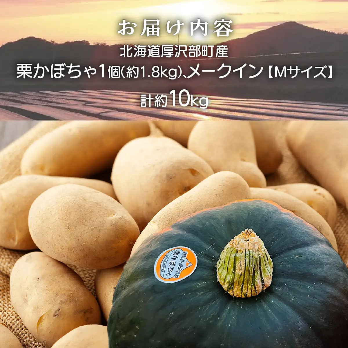 【2026年9月下旬より発送】栗かぼちゃ1個・メークインのセット 約10kg【Ｍサイズ】 ASO041