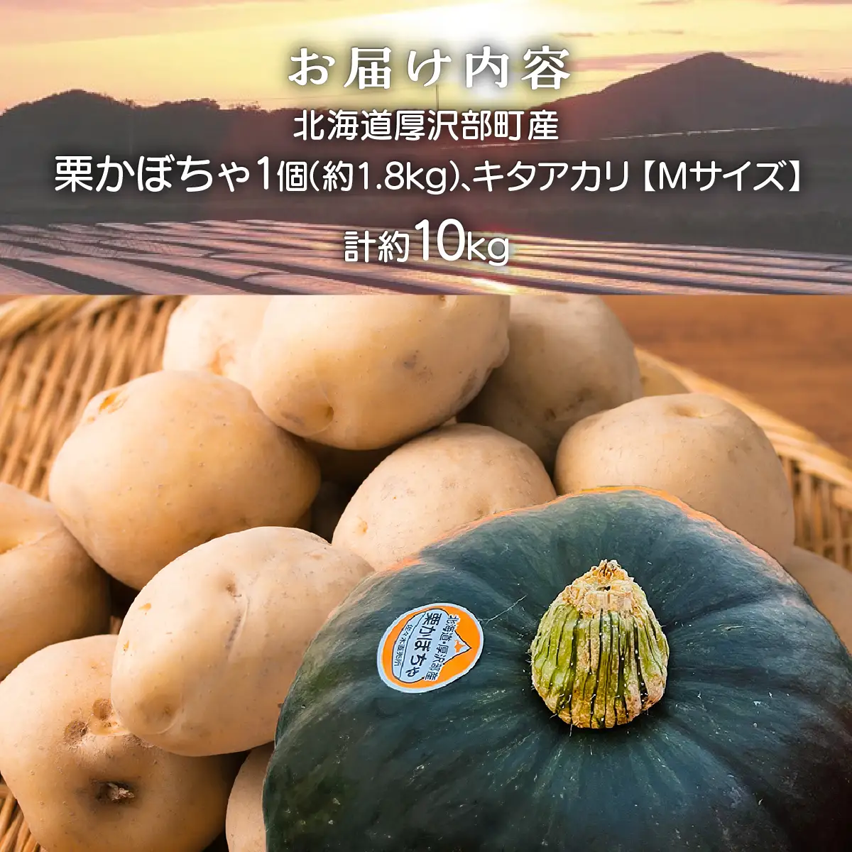 【2026年9月下旬より発送】栗かぼちゃ1個・キタアカリのセット 約10kg【Ｍサイズ】 ASO043
