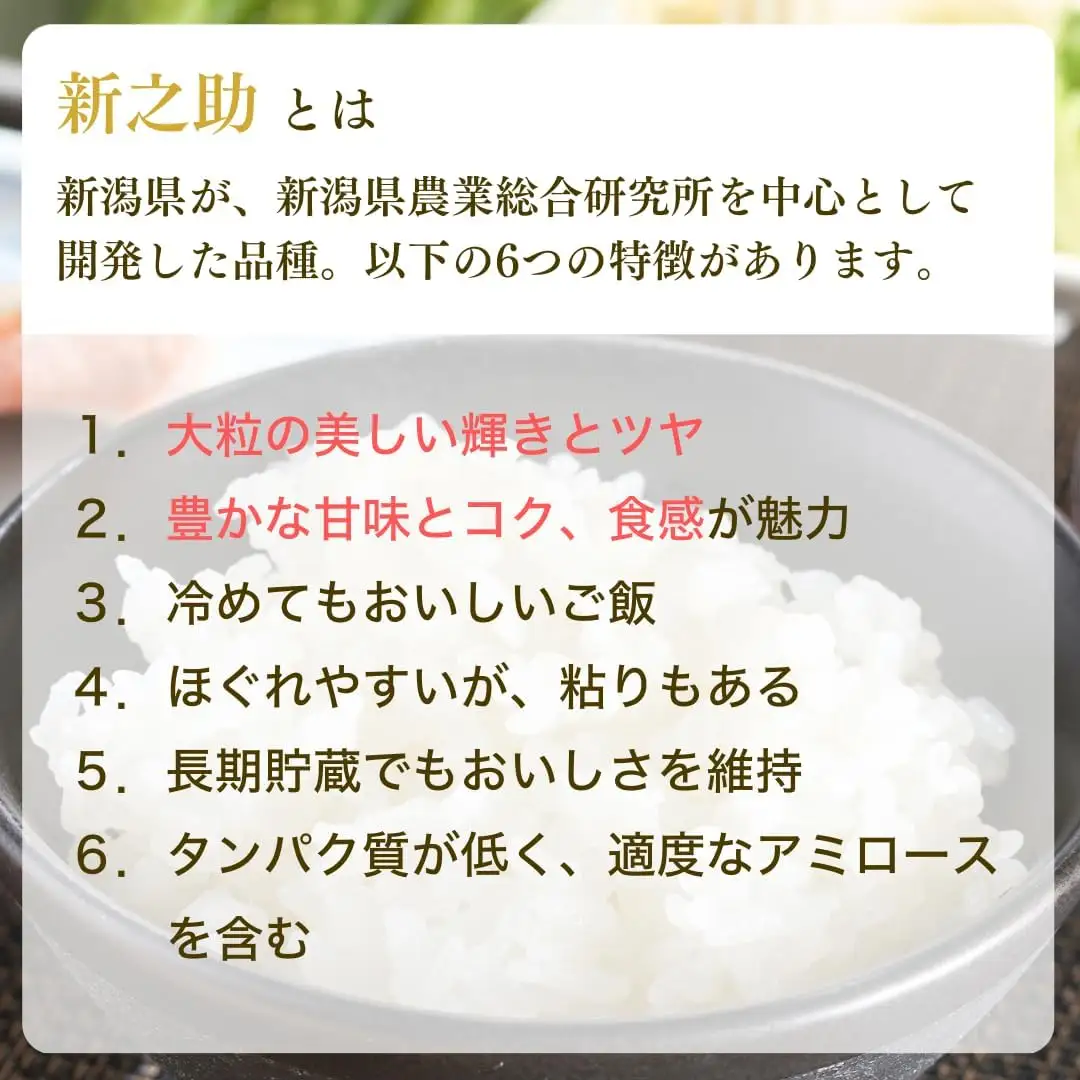 新之助 精米 お米 20kg | 新之助 令和7年産