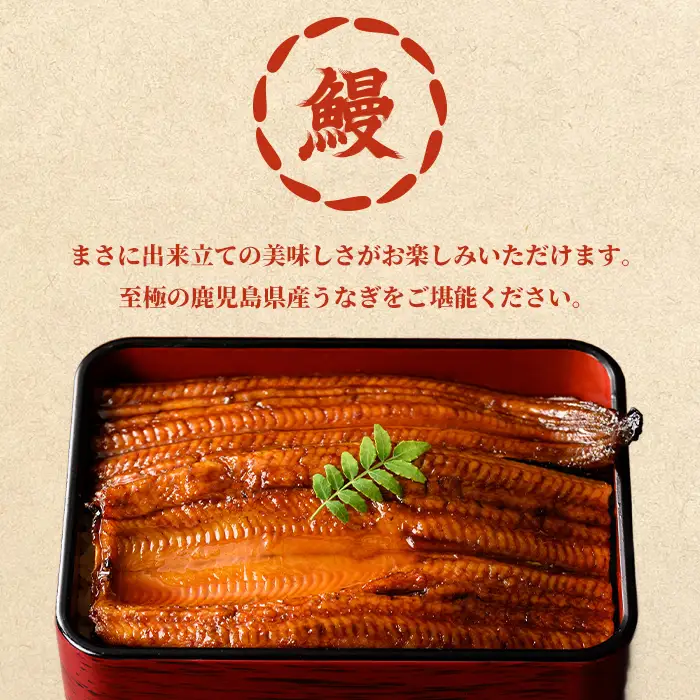【0104347a-2610】＜10月上旬発送予定＞東串良町のうなぎ蒲焼(無頭)(2尾・計約300g・タレ、山椒付) うなぎ 高級 ウナギ 鰻 国産 蒲焼 蒲焼き たれ 鹿児島 ふるさと 人気 【アクアおおすみ】