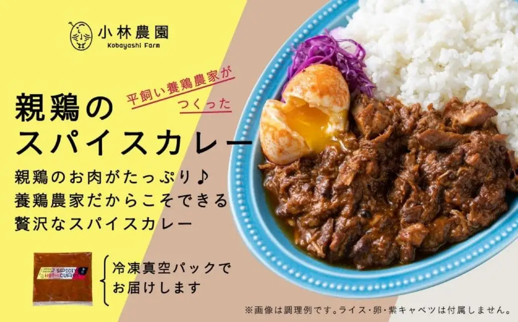 親鶏のスパイスカレー 5個セット（辛口）【テンアール株式会社】 カレー スパイスカレー 辛口 鶏 鶏肉 平飼い 冷凍配送 北海道 [AXAN009]