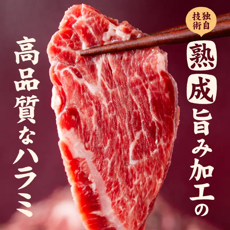 【ハラミ】 熟成旨み牛やわらかハラミカット 2kg はらみ 愛媛県 松山市 【NGB0021】