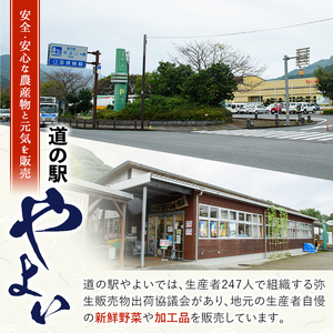 かぼす4kg(種あり) フルーツ 果物 柑橘 道の駅やよい 期間限定 大分県 佐伯市 【EN15】【道の駅やよい】