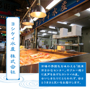 国産うなぎ長焼き2尾(約190g～210g) (a20-231)