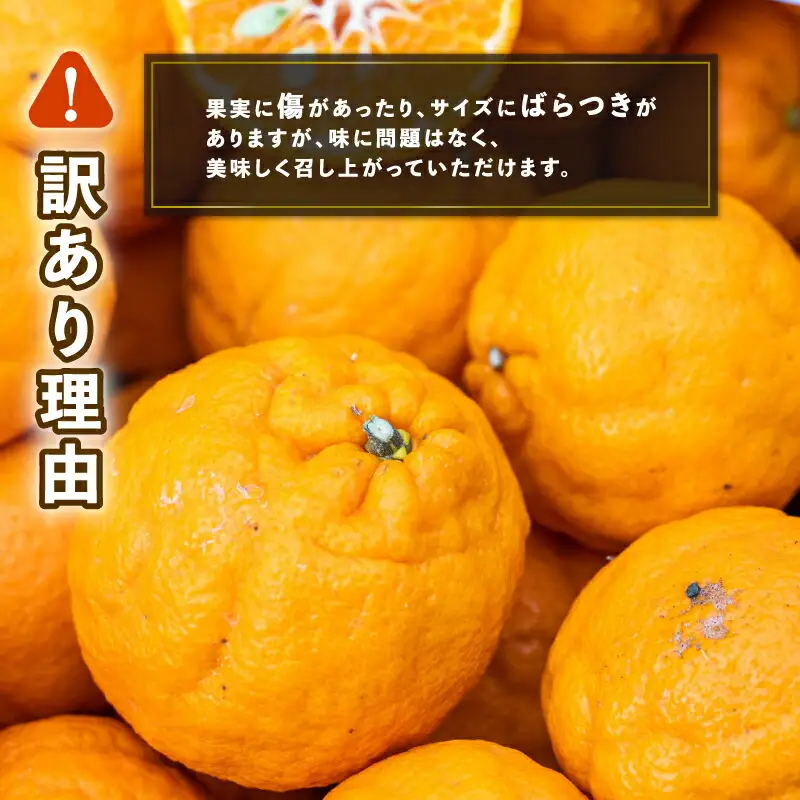 訳あり ポンカン 9kg コルレオファーム ポンカン B012-145010