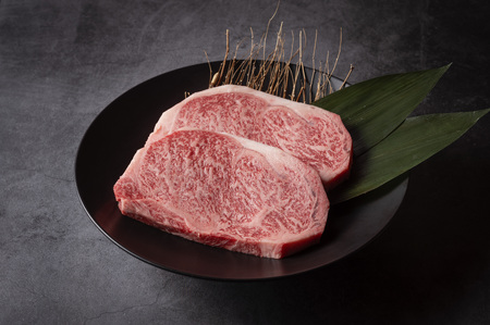 宮崎牛赤身・霜降りステーキ食べ比べセット〈計800g〉_A0001-069