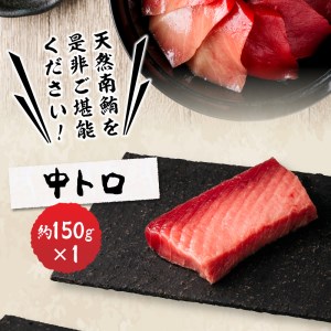総重量約800g！天然南鮪づくし (a20-242)
