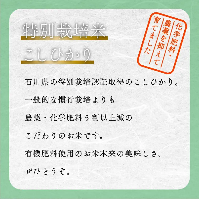 こしひかり 精米 5kg  特別栽培米 令和8年産 こしひかり コシヒカリ 農家ふじた