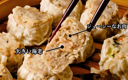 焼売 てんの焼売と野菜焼売の16個セット 焼売 埼玉県 上尾市