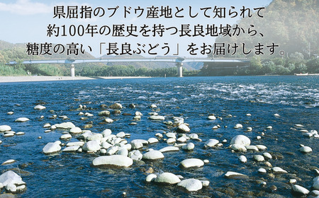 長良ぶどう デラウエア 約2ｋｇ【6月末までの入金で今期の発送】 ブドウ 葡萄 皮ごと 岐阜市/JAぎふ[ANAS013]